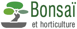 Bonsaï et horticulture